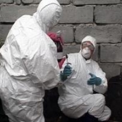 Sursa foto: telegrafonline.ro