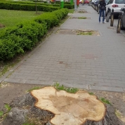 sursa foto: Réka Csürös (facebook.com/egoissimo)